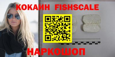 дмт Гай